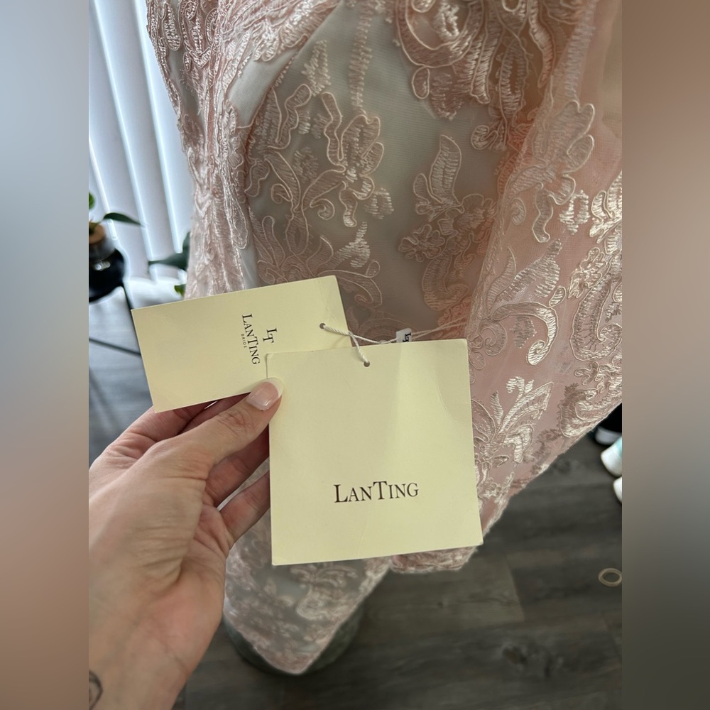 🩷LanTing Sz 6-8 Pink Dress Lace NWT🩷 Measurements Included! - Picture 4 of 17